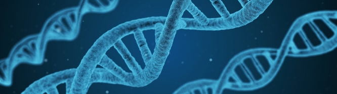 Basic & preclinical research Basic & preclinical research